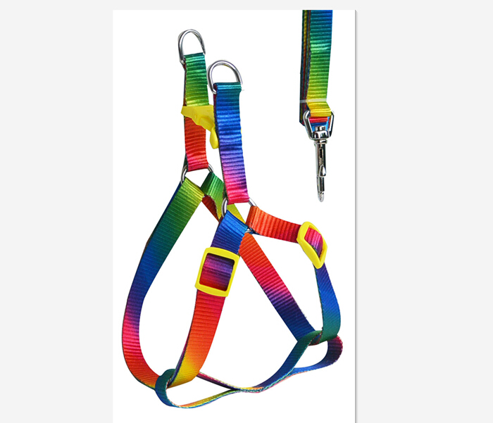 yabeibi Color change leash+harness